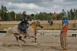 Bilder från 2008 - 2011