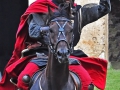 Johan 10