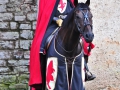 Johan 7