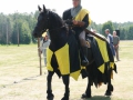 bild (10)