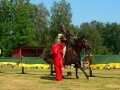 bild (3)