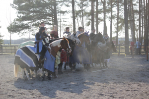 Klubbmästerskap Skills 2014