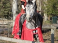 KM Infensus 048