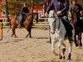 Träningshelg Påsk 2014 044