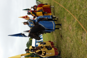 Rikstorneringen 2014