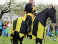 Riddare Vargtass